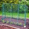 Easy Grow Pea Frame & Climbing Plant Support Trellis - 0.75 X 1.2 X 1m H