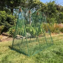 Pea Master Heavy Duty Pea & Climbing Plant Support Frame - 0.75 X 1.2 X 1.2m H -Plants Sale GSK2259HDPIC5