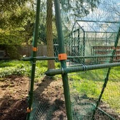 Cucumber Trellis & Pea Support Frame For Heavy Climbing Plants -Plants Sale GSK2284HD201000x100020940kb