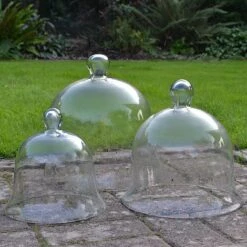 Glass Bell Cloche -Plants Sale Glass Bell Cloche 5005