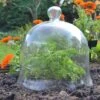 Glass Bell Cloche 1 Glass Bell Cloche -Plants Sale Glass bell cloche 4960a