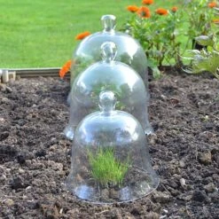 Glass Bell Cloche -Plants Sale Glass bell cloche 4988