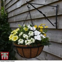 Garden Grow Hanging Basket & Liner -Plants Sale HANG T82054 C