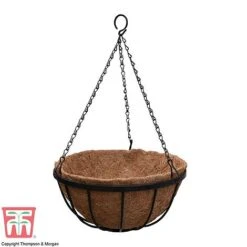 Garden Grow Hanging Basket & Liner -Plants Sale HANG T82054 E