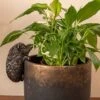 Antique Bronze Coloured Hedgehog Pot Buddy - Pot Hanger -Plants Sale HEGDEHOG20 20INDOOR20POT20320 20PB0005