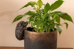 Antique Bronze Coloured Hedgehog Pot Buddy - Pot Hanger
