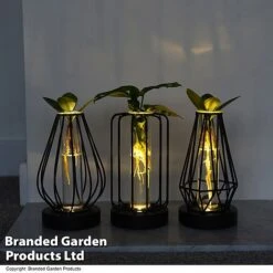 Hydroponic Collection In Turin Glass 11 Hydroponic Collection In Turin Glass -Plants Sale HYDR LEDTURING T49876