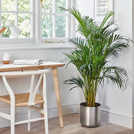 Indoor Chelsea Pewter Planter H20Cm D20Cm 4 Indoor Chelsea Pewter Planter H20Cm D20Cm - Image 2