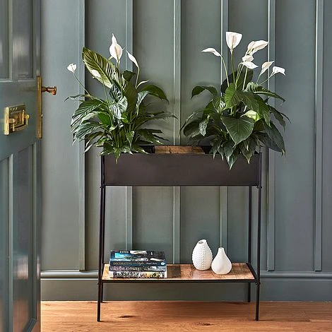 Indoor Kensington Metal Planter Stand In Black H76Cm W70Cm 4 Indoor Kensington Metal Planter Stand In Black H76Cm W70Cm - Image 2