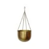 Indoor Mayfair Antique Brass Hanging Planter H21Cm D30Cm 2 Indoor Mayfair Antique Brass Hanging Planter H21Cm D30Cm -Plants Sale IMABHP30