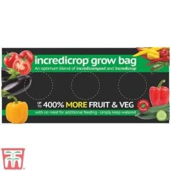 Vegetable Bumper Pack 11 Vegetable Bumper Pack -Plants Sale INCR TKA2825 A1