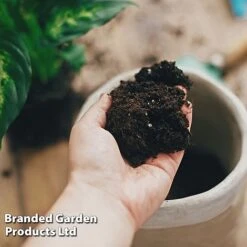 Incredicompost Peat Free Houseplant -Plants Sale INCR COMPHOUSE L29533