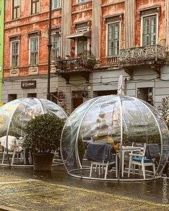 Astreea Igloo - Oslo -Plants Sale Instagram20Image201