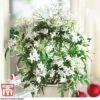 Jasmine On A Hoop -Plants Sale JASM W41143 A1