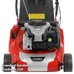 Cobra Self Propelled Briggs & Stratton 46cm Mower With Rear Roller 7 Cobra Self Propelled Briggs & Stratton 46cm Mower With Rear Roller -Plants Sale KC3548b