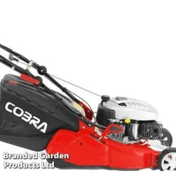 Cobra Self Propelled Electric Start 135cc Engine 46cm Mower With Rear Roller 6 Cobra Self Propelled Electric Start 135cc Engine 46cm Mower With Rear Roller -Plants Sale KC3555a