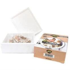 Mushroom Windowsill Kit - Shiitake -Plants Sale KITS MUSHROOM T28359