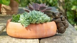 Antique Bronze Coloured Koala Pot Buddy - Pot Hanger -Plants Sale KOALA2020CUB20 20SUCCULENT20 20CROPPED20 20PB0014