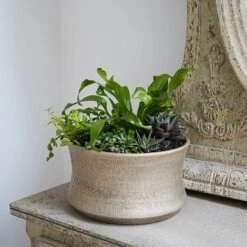 Luxe Bowl White Gold H14CM D24CM 8 Luxe Bowl White Gold H14CM D24CM -Plants Sale LBWG24 2