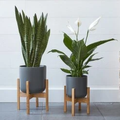 Lisbon Pot And Stand Charcoal D26Cm -Plants Sale LPCST26 1