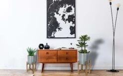 Idooka Metal Barrel Plant Pot Pair With Wooden Stands -Plants Sale Lifestyle202