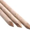 Tree Stakes 1.2m X 50mm Machine Rounded X 5 -Plants Sale MCRS125