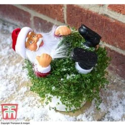 'Mind Your Own Business' Santa - Gift 8 'Mind Your Own Business' Santa - Gift -Plants Sale MIND WGKB7085 C