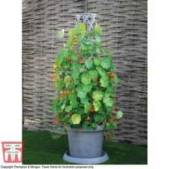 Modern Grey Patio Pot 7 Modern Grey Patio Pot -Plants Sale MODE KA6953 C2