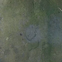 Block Blitz Eco Cleaner Multi Pave -Plants Sale MP before