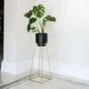 Minimo Plant Stand In Gold H40Cm D21Cm -Plants Sale MPSG40 1