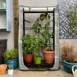 Multiflex Patio & Balcony Greenhouse Grow House & Plant Cover 13 Multiflex Patio & Balcony Greenhouse Grow House & Plant Cover -Plants Sale MULTIFLEX20POLY20100020X20100020837KB