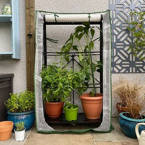 Multiflex Patio & Balcony Greenhouse Grow House & Plant Cover 6 Multiflex Patio & Balcony Greenhouse Grow House & Plant Cover - Image 4