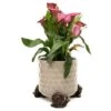 Antique Bronze Coloured Snail Potty Feet - Plant Pot Feet -Plants Sale NEW20SNAIL20 20POT20 20PF0029