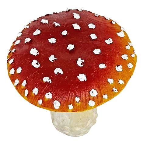Garden Mushroom / Toadstool Ornament 5 Garden Mushroom / Toadstool Ornament - Image 3