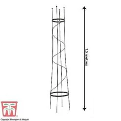 Open Top Obelisk -Plants Sale OBE KB0600 C