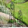 Garden Gear Metal Ornamental Obelisks 1 Garden Gear Metal Ornamental Obelisks -Plants Sale OBEL GARDGEARM T49308