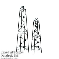 Garden Gear Metal Ornamental Obelisks 11 Garden Gear Metal Ornamental Obelisks -Plants Sale OBEL GARDGEARM T49312