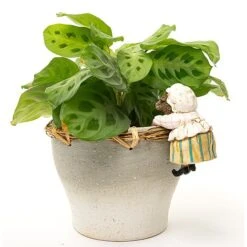Full Colour Beatrix Potter Mrs. Tiggy-Winkle Pot Buddy - Pot Hanger -Plants Sale PBBP0004C 1 new