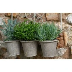 Full Colour Beatrix Potter Squirrel Nutkin Pot Buddy - Pot Hanger 13 Full Colour Beatrix Potter Squirrel Nutkin Pot Buddy - Pot Hanger -Plants Sale PBBP007C 2 new