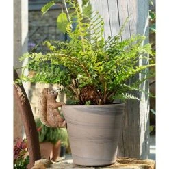 Full Colour Beatrix Potter Squirrel Nutkin Pot Buddy - Pot Hanger 15 Full Colour Beatrix Potter Squirrel Nutkin Pot Buddy - Pot Hanger -Plants Sale PBBP007C 5 new