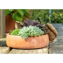 Full Colour Beatrix Potter Squirrel Nutkin Pot Buddy - Pot Hanger 11 Full Colour Beatrix Potter Squirrel Nutkin Pot Buddy - Pot Hanger -Plants Sale PBBP007C 6 new