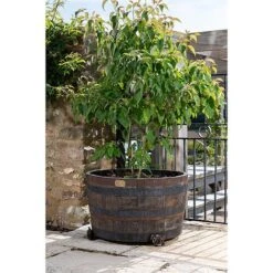 Antique Bronze Coloured Rose Potty Feet - Plant Pot Feet -Plants Sale PF0007 4 new