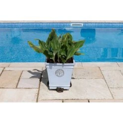 Antique Bronze Coloured Rose Potty Feet - Plant Pot Feet -Plants Sale PF0007 7 new