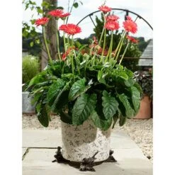 Antique Bronze Coloured Robin Potty Feet - Plant Pot Feet