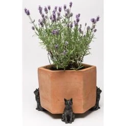 Antique Bronze Coloured Sitting Cat Potty Feet - Plant Pot Feet -Plants Sale PF0033 1 new