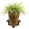 Antique Bronze Coloured Horse Potty Feet - Plant Pot Feet 1 Antique Bronze Coloured Horse Potty Feet - Plant Pot Feet -Plants Sale PF0037 6 new