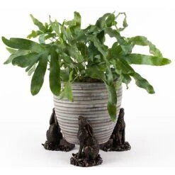 Antique Bronze Coloured Moongazing Hare Potty Feet - Plant Pot Feet -Plants Sale PF0057 4 new
