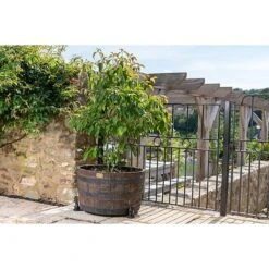 Antique Bronze Coloured Moongazing Hare Potty Feet - Plant Pot Feet -Plants Sale PF0057 5 new