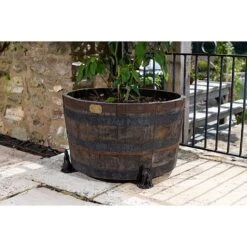 Antique Bronze Coloured Moongazing Hare Potty Feet - Plant Pot Feet -Plants Sale PF0057 6 new