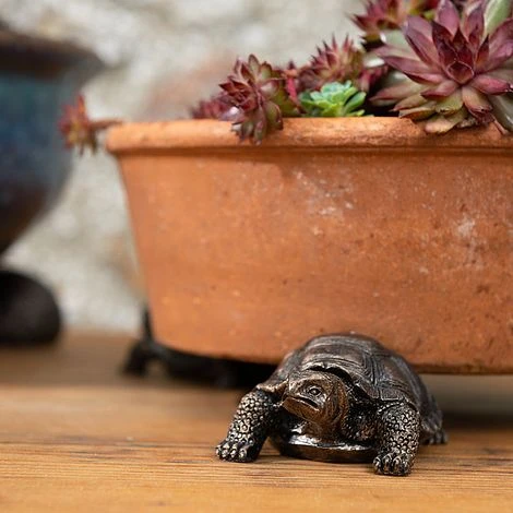 Antique Bronze Coloured Tortoise Potty Feet - Plant Pot Feet 3 Antique Bronze Coloured Tortoise Potty Feet - Plant Pot Feet